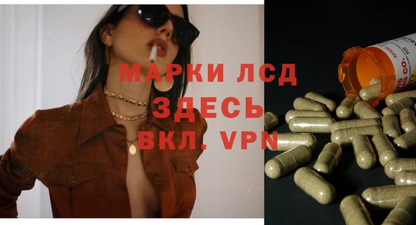 трава Аркадак
