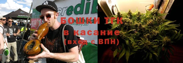 гидра Арсеньев