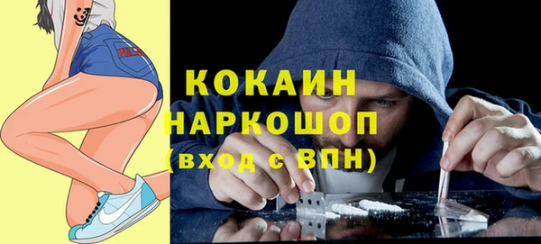 гидра Арсеньев