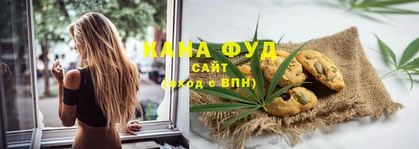 гидра Арсеньев