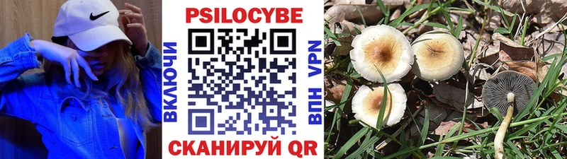 где купить наркоту  Аша  кракен сайт  Галлюциногенные грибы прущие грибы 